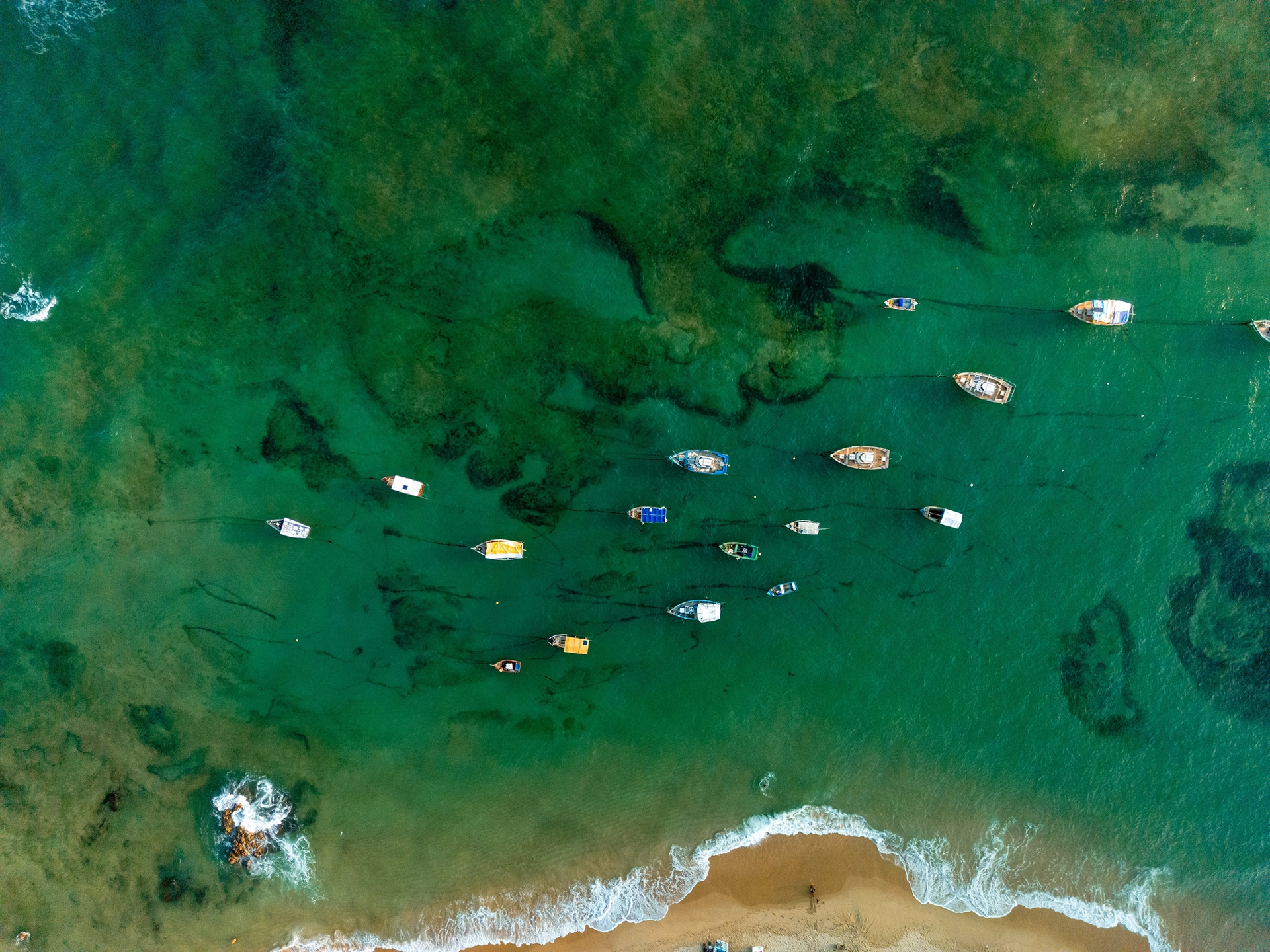 Cursos Teóricos Gratuitos no 35º CBCD!